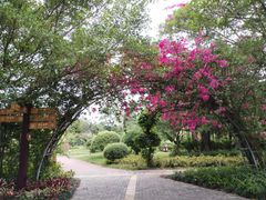-南宁花花大世界景区