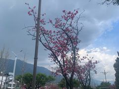 -大理床单厂艺术区