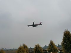 -空港花田景区