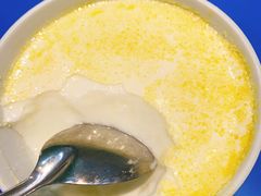 -德禄酸奶(莫家街店)