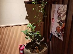 -大吉鲜鱼料理自慢(维也纳大厦店)