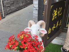-洪记白水羊头(留学路店)