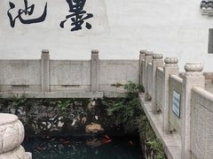 -墨池公园