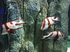 -福州罗源湾海洋世界旅游区