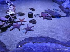 -多彩贵州城极地海洋世界