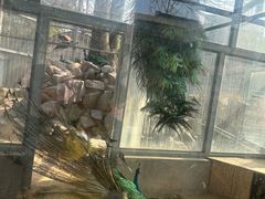 -水绘园