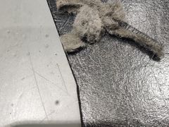 -外星人官方售后维修站.Alienware电脑专卖店