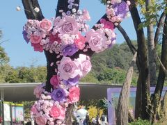 -云溪植物园