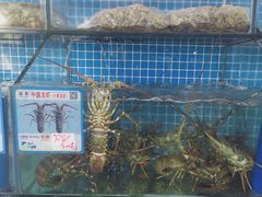 -琼大师东方烤乳猪(亚特兰蒂斯店)