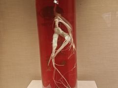 -广东中医药博物馆