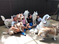 -TrueLove @ Neverland (Husky Cafe)