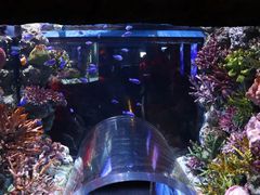 -暹罗海洋世界