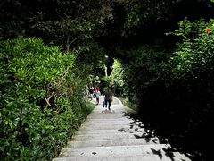 -广州市白云山风景名胜区