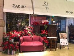 -杂咖zacup(领展中心城店)