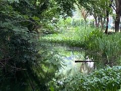 -长田漾湿地公园