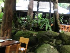 -绿光森林餐厅