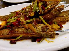 -楚天美食坊(越秀先烈中路店)