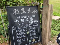 -前小桔亲子创意农场·草莓采摘·露营烧烤