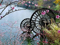 -重庆彩云湖湿地公园