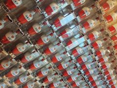 -老淳安—伴山伴湖(千岛湖开元度假村店)