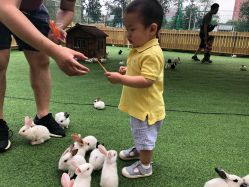 -萌宠亲子动物乐园(槐房万达店)