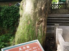 -青岛崂山太清宫