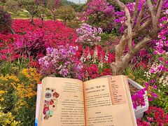 -东莞植物园