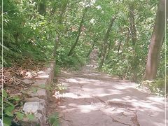 -北京上方山国家森林公园