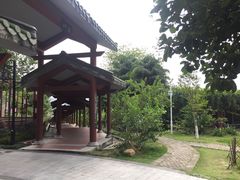 -广州神农草堂中医药博物馆
