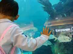 -鸿通城购物中心