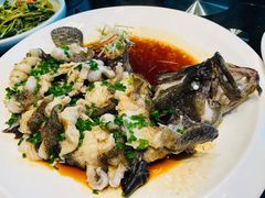 葱油起片蒸老虎斑-榕港名轩(天禧店)