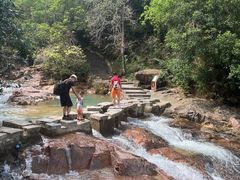 -广州白江湖森林公园