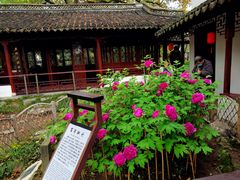 -上海醉白池公园