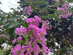 -天鹅湖体育公园