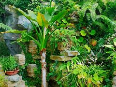 -国家植物园南园