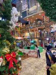 -卡通尼·Safari非洲探索乐园·生日会(金桥国际商业广场店)