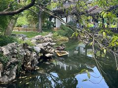 -无锡蠡湖国家湿地公园-蠡园