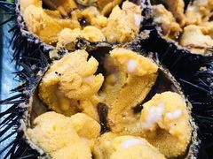 海胆-开海·红岛海鲜虾水饺(石老人店)