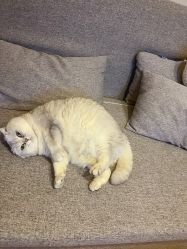 -青木造型HAIR·あおき髪を刈る潮人店