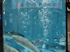 -谭厨中山传家菜.乳鸽.脆鲩鱼(华强北中航城店)