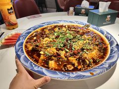 -新概念来凤鱼(璧山店)