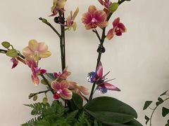 -虫二酒肆(美罗城店)