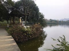-成都南湖公园