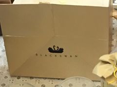 -BLACKSWAN黑天鹅(环球店)