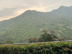 -梧桐山风景名胜区