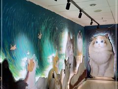 -猫腻·猫咖·撸猫馆(星光大道店)