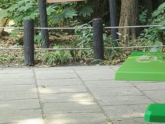 -共青国家森林公园-售票处