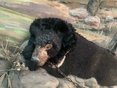 -北京动物园-畅观楼