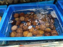 -拉完海鲜大排档(温岭店)