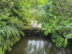 -滴水岩森林公园